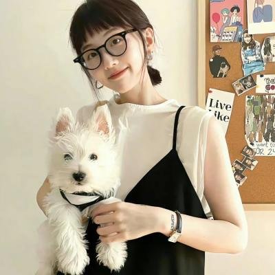 丽兹与迪克